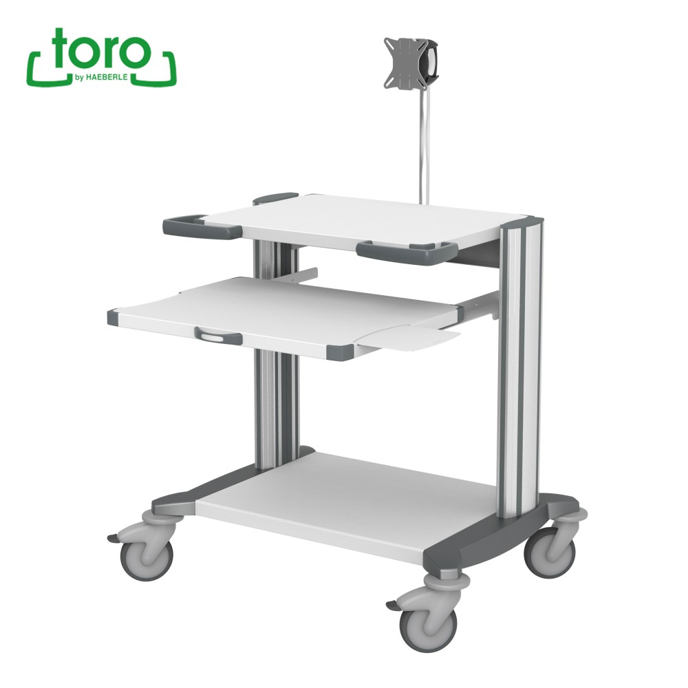 Chariot informatique HAEBERLE toro 45 avec support d'écran